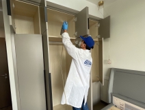 偏方真的能除甲醛嗎？