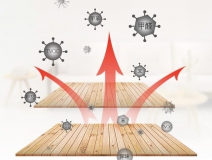 裝修后除甲醛采用哪些技術效果更理想