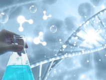 除甲醛需要注意什么？